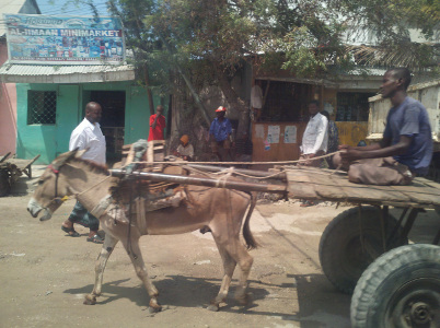 Somalia - Trains